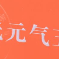 杜氏元气五福