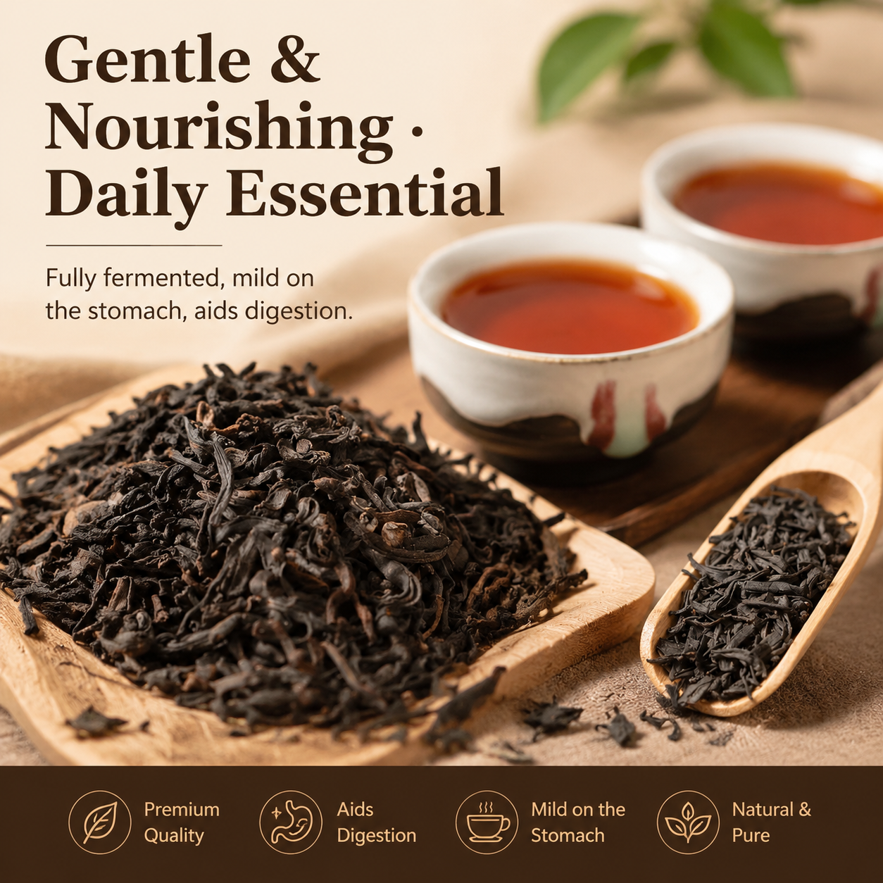 500g Bulk dark tea